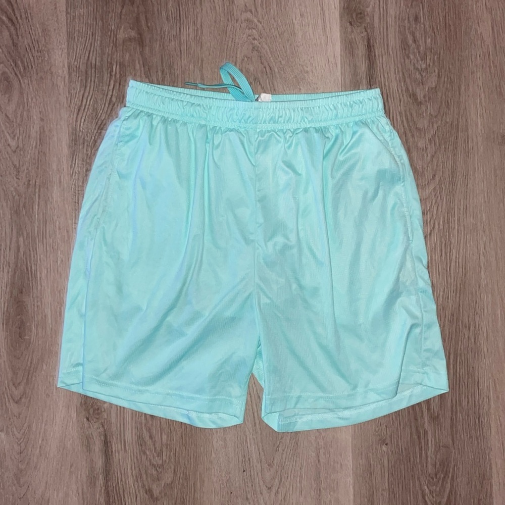 Basic Mint Shorts